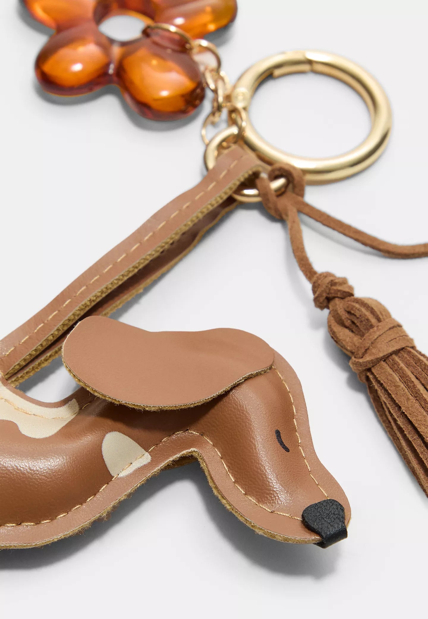 CHARM DOG