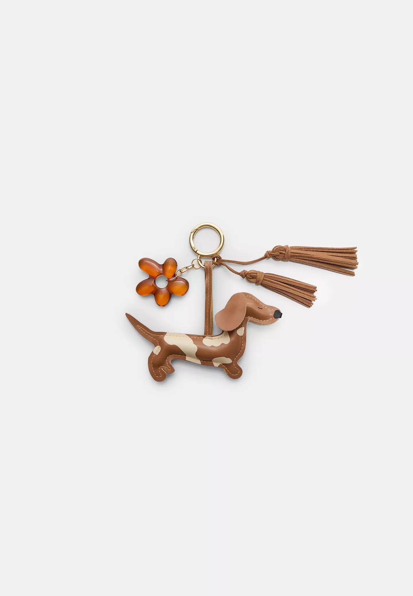 CHARM DOG